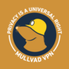 Mullvad VPN Test 2023 3 • techboys.de: Ratgeber für Netzwerksicherheit, VPNs & IPTV